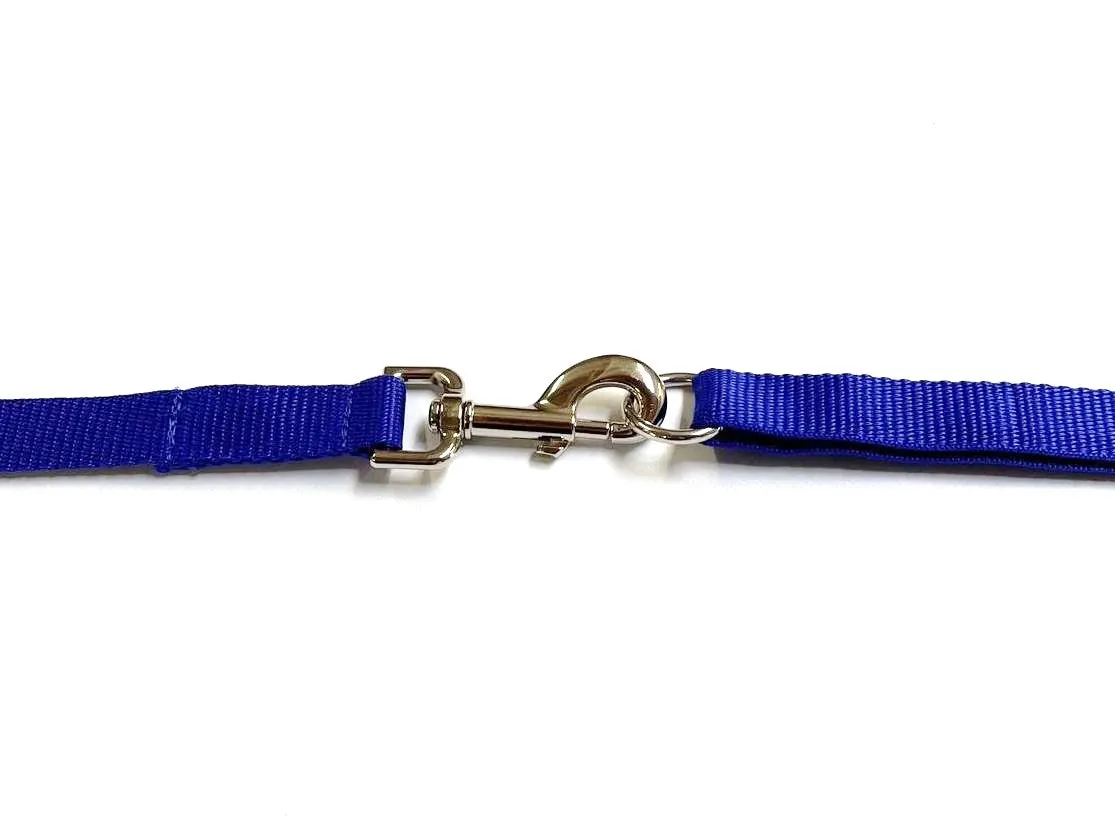 5ft - 30ft Long Dog Training Leads Obedience Recall Walking Leash Puppy In 20mm Webbing 18 Colours