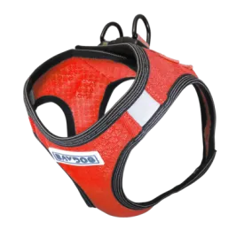 Bay Dog Liberty Harness Red