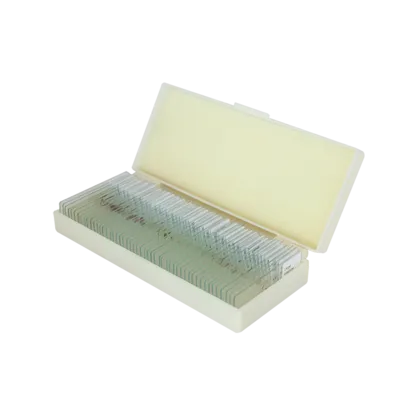 Saxon Plants Biological Micrcoscope Prepared Slides (50pcs) (310006)